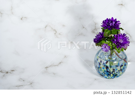 ガラスの寒色一輪挿しに挿したエゾギク（横構図右配置） 132851142