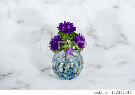 ガラスの寒色一輪挿しに挿したエゾギク（横構図中配置） 132851143