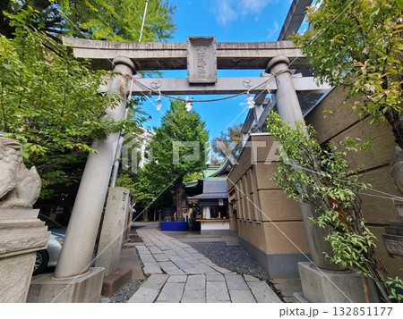 小野照崎神社 小野照崎神社 132851177