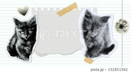 Vector collage with cute kittens in halftone retro style. Paper notes, tape, and torn elements for scrapbooking and journaling design. Vintage black and white aesthetic composition. Vector collage with cute kittens in halftone retro style. Paper notes, tape, and torn elements for scrapbooking and journaling design. Vintage black and white aesthetic composition. 132851562