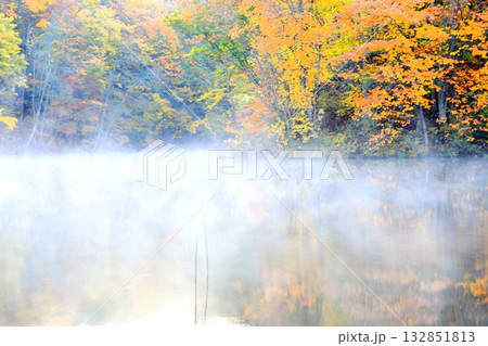 裏磐梯 曲沢沼の紅葉 132851813