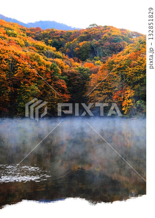 裏磐梯 曲沢沼の紅葉 132851829