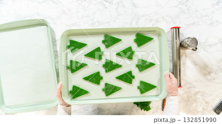 Overhead view of hands holding a baking sheet with tree-shaped Green Gingerbread Cookies cutouts, ready to be baked. 132851990