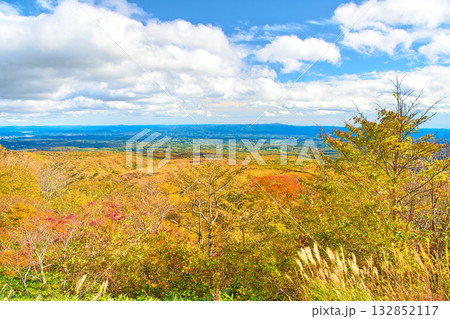 栃木県那須郡那須町　那須高原展望台から見る秋の紅葉に染まる那須高原 132852117