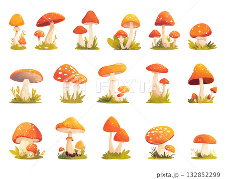 Set of various cartoon mushrooms in the forest, different shapes and types, in grass and flowers, vector illustration Set of various cartoon mushrooms in the forest, different shapes and types, in grass and flowers, vector illustration 132852299