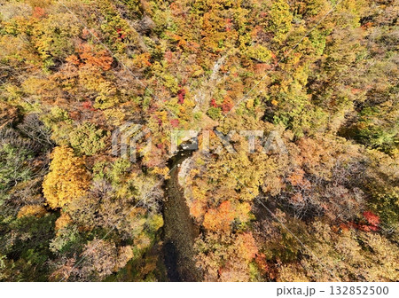 紅葉の秋保の名取川　空撮 132852500