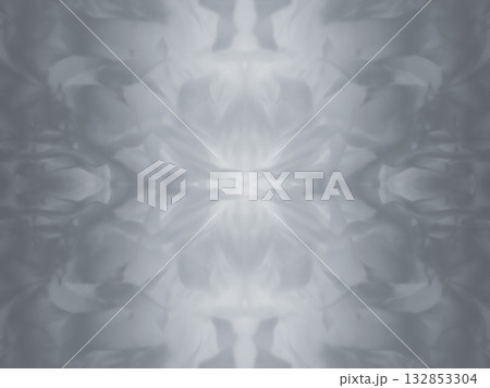 モノトーンマクロ花びら　背景 132853304