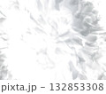 モノトーンマクロ花びら　背景 132853308