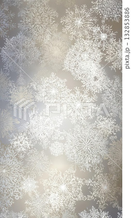 Elegant Snowflake Pattern on Silver and Gold Background 132853886