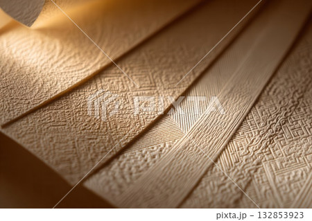 Elegant Textured Paper Swatches Displaying Intricate Patterns 132853923