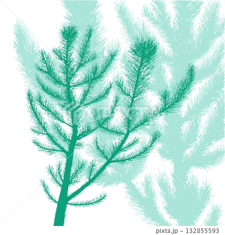 Pine blue branches background . hand drawing. Not AI, Vector illustrations 132855593