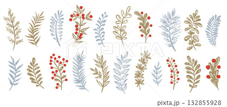 Branch set on white, hand drawn, vector. Branch set on white, hand drawn, vector. 132855928