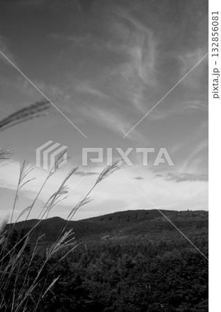 風景 風景 132856081