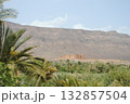 Palm trees in green oasis in desert arid landscape between Agdz and Zagora towns in Atlas Mountains, Morocco, North Africa Palm trees in green oasis in desert arid landscape between Agdz and Zagora towns in Atlas Mountains, Morocco, North Africa 132857504