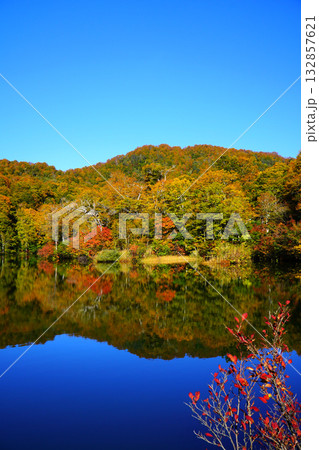 鎌池の紅葉 132857621