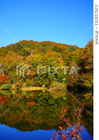 鎌池の紅葉 鎌池の紅葉 132857623