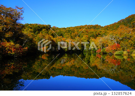 鎌池の紅葉 鎌池の紅葉 132857624
