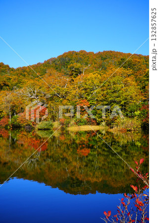 鎌池の紅葉 鎌池の紅葉 132857625
