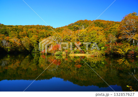 鎌池の紅葉 鎌池の紅葉 132857627
