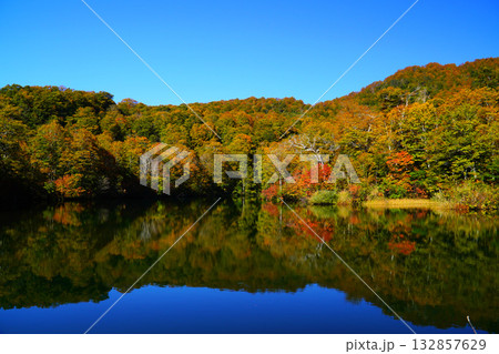 鎌池の紅葉 鎌池の紅葉 132857629