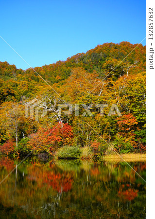 鎌池の紅葉 132857632
