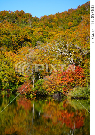 鎌池の紅葉 鎌池の紅葉 132857633