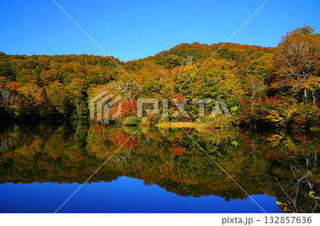 鎌池の紅葉 鎌池の紅葉 132857636