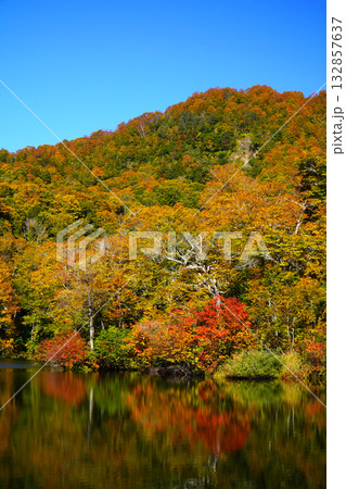 鎌池の紅葉 鎌池の紅葉 132857637