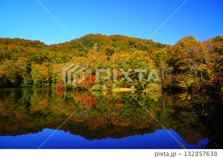 鎌池の紅葉 鎌池の紅葉 132857638