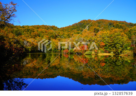 鎌池の紅葉 132857639