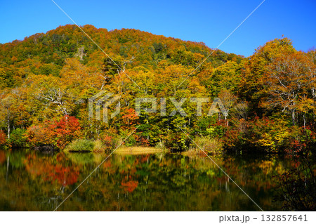 鎌池の紅葉 鎌池の紅葉 132857641