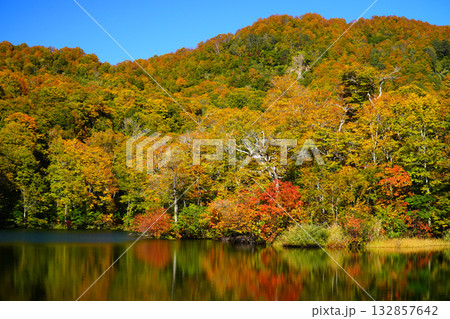 鎌池の紅葉 鎌池の紅葉 132857642