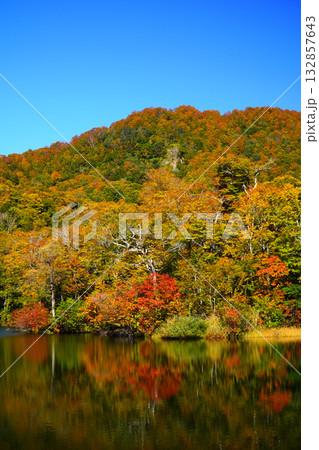 鎌池の紅葉 鎌池の紅葉 132857643