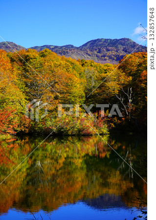 鎌池の紅葉 132857648