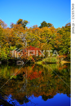 鎌池の紅葉 鎌池の紅葉 132857649