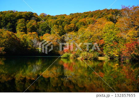 鎌池の紅葉 132857655