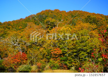 鎌池の紅葉 132857657