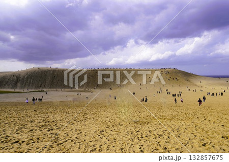 鳥取砂丘の雄大な風景 132857675