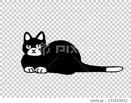 A lying cat A lying cat 132858052