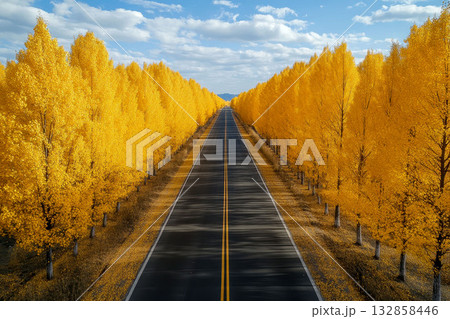 Golden ginkgo trees lining a picturesque road in autumn with colorful fallen leaves and distant mountains. 132858446