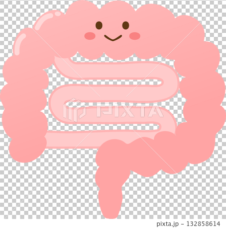 Cute face intestine character 132858614