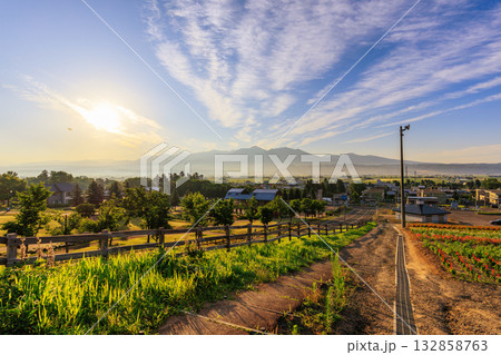 早朝の中富良野町 132858763