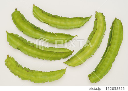 四角豆・うりずん豆 132858823