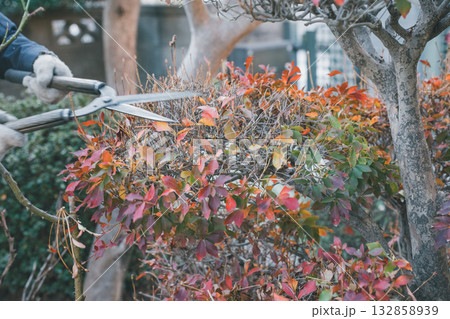 Japanese Gardener Japanese Gardener 132858939