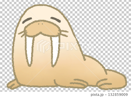 懶惰的海象 懶惰的海象 132859009