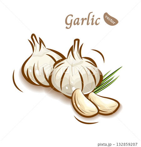 可愛くポップなニンニクのイラスト｜新鮮野菜のベクター素材 132859207
