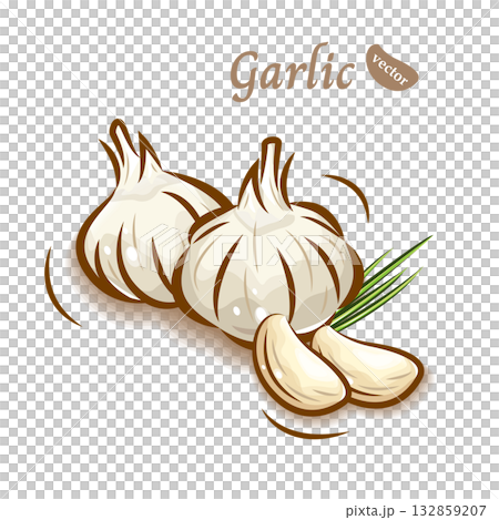 可愛くポップなニンニクのイラスト｜新鮮野菜のベクター素材 132859207