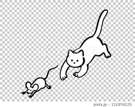 Cat chasing a mouse Cat chasing a mouse 132859228