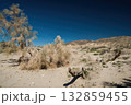 Desert Landscape with Dry Vegetation and Mountains 132859455