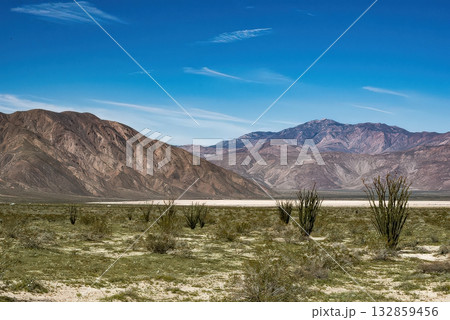 Desert Landscape with Mountains and Clear Sky 132859456